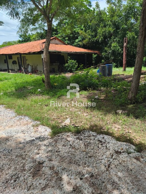 Oportunidade, fazendinha 90 hectares