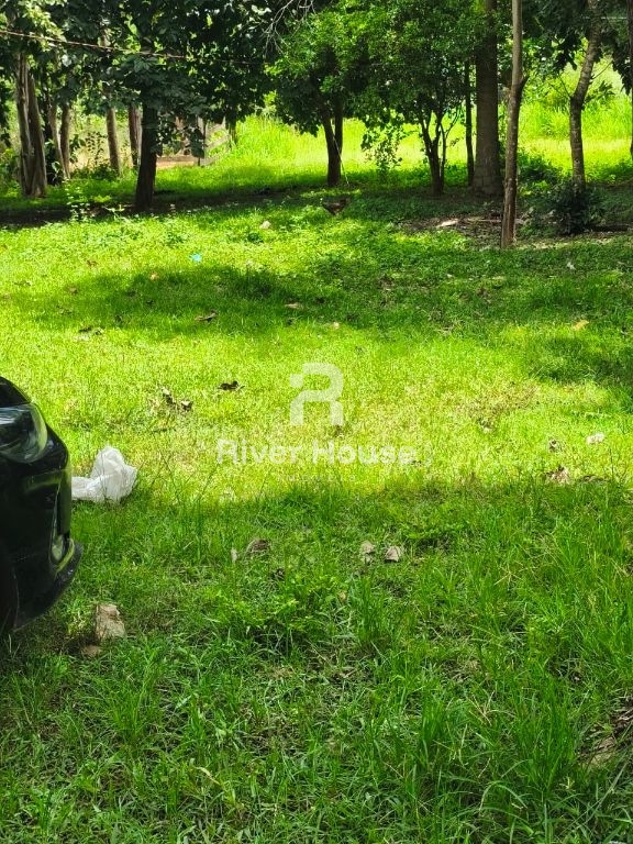 Oportunidade, fazendinha 90 hectares