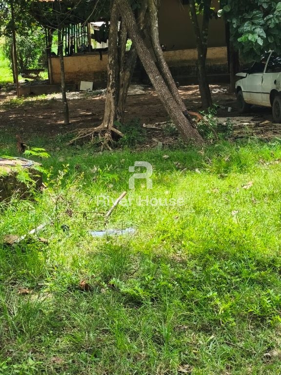 Oportunidade, fazendinha 90 hectares