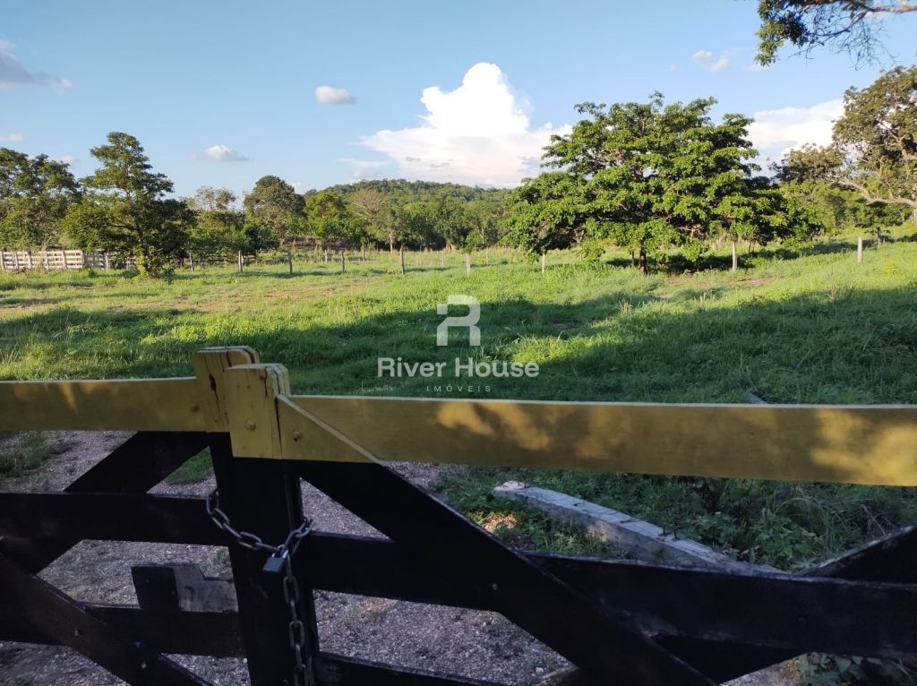 Chácara, 4 quartos - Foto 4