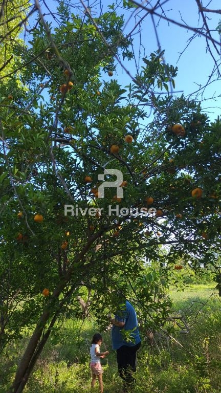 Chácara, 4 quartos - Foto 26