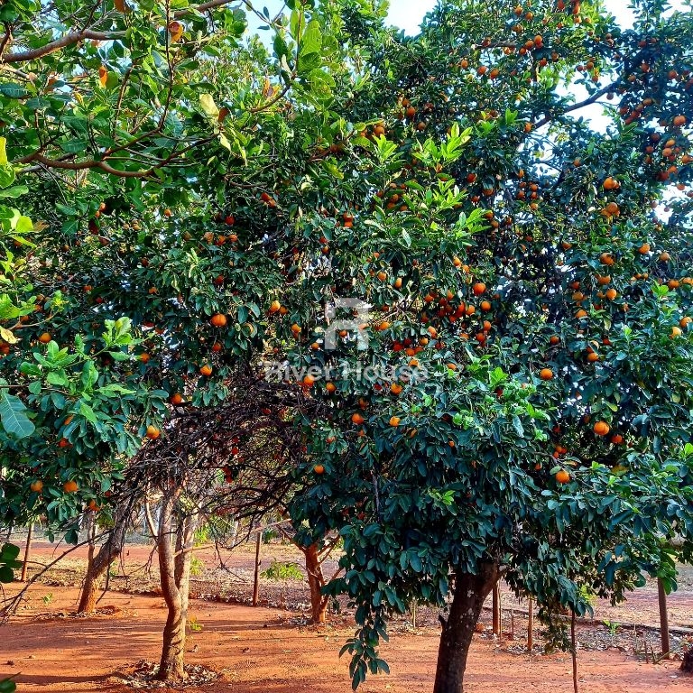 Chácara na Chapada