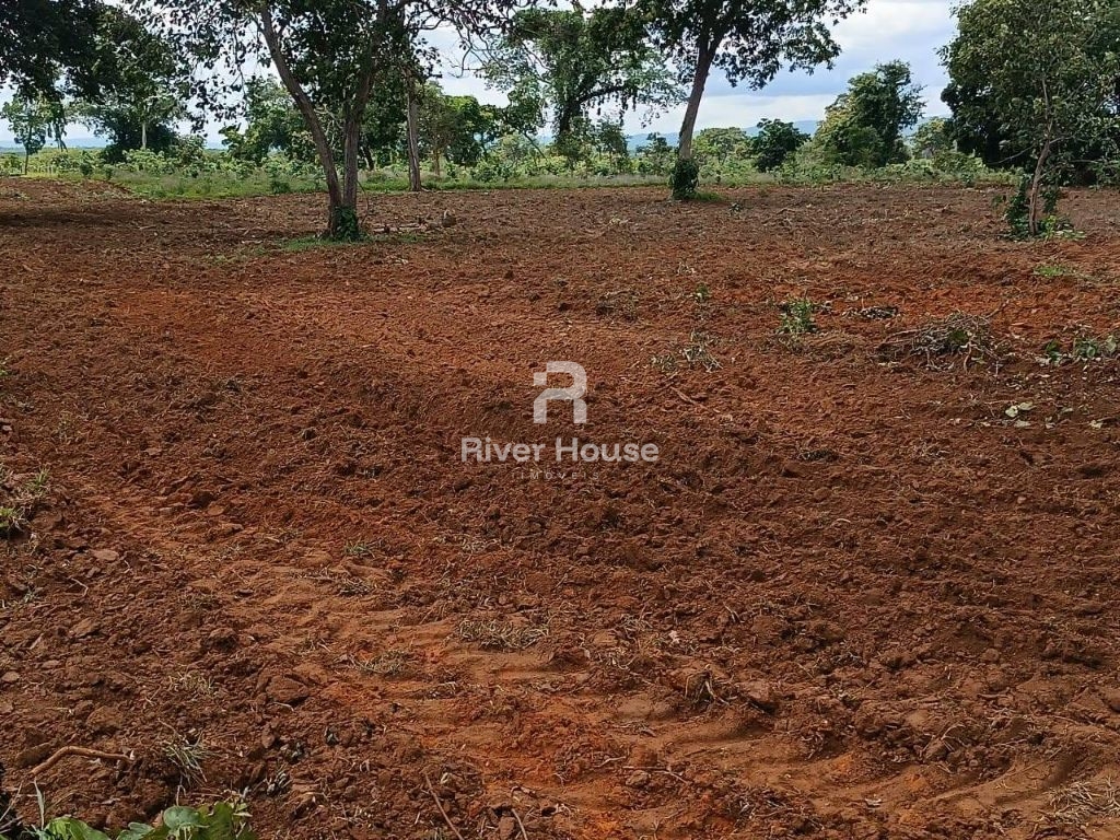 Chácara, 3 quartos, 890 m² - Foto 19