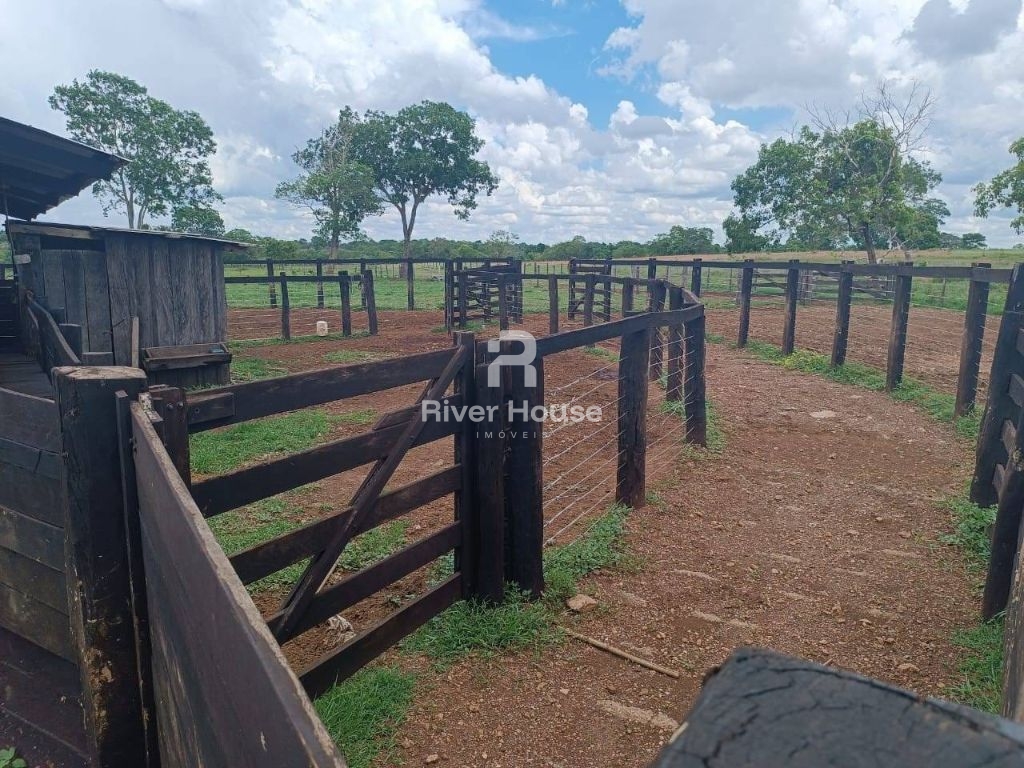 Fazenda a venda com 890 hectares dupla aptidão na região de 