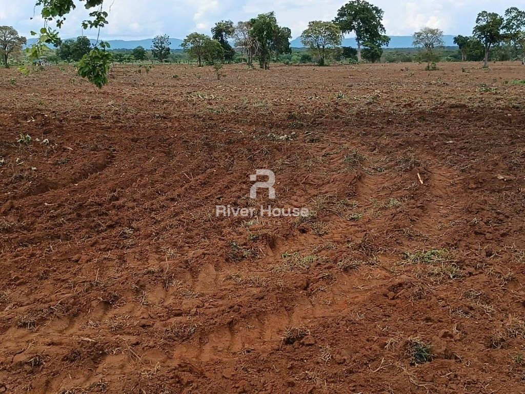 Fazenda a venda com 890 hectares dupla aptidão na região de 