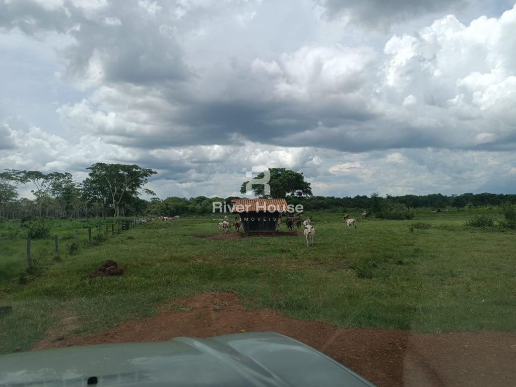 Chácara, 3 quartos, 890 m² - Foto 18