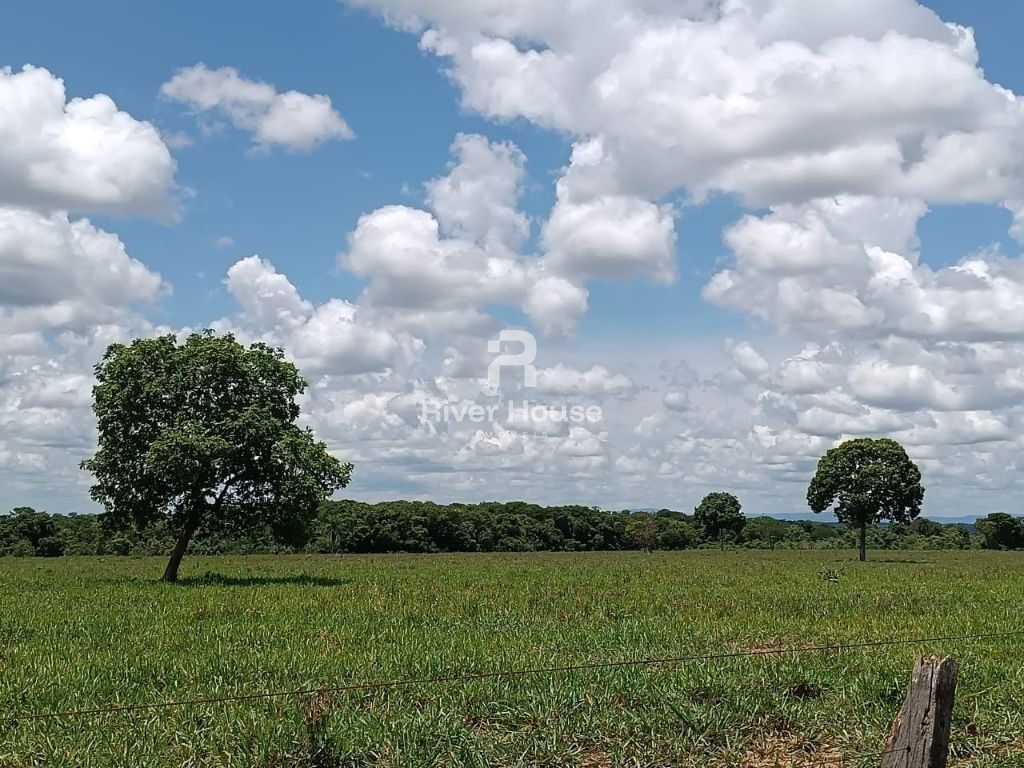 Fazenda a venda com 890 hectares dupla aptidão na região de 