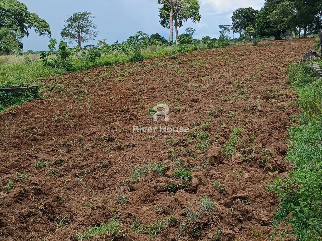 Fazenda a venda com 890 hectares dupla aptidão na região de 
