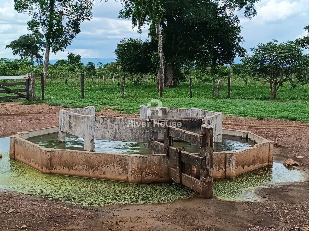 Fazenda a venda com 890 hectares dupla aptidão na região de 
