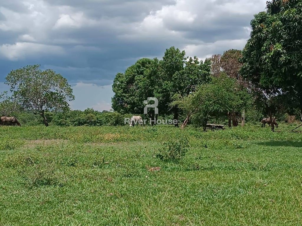 Fazenda a venda com 890 hectares dupla aptidão na região de 