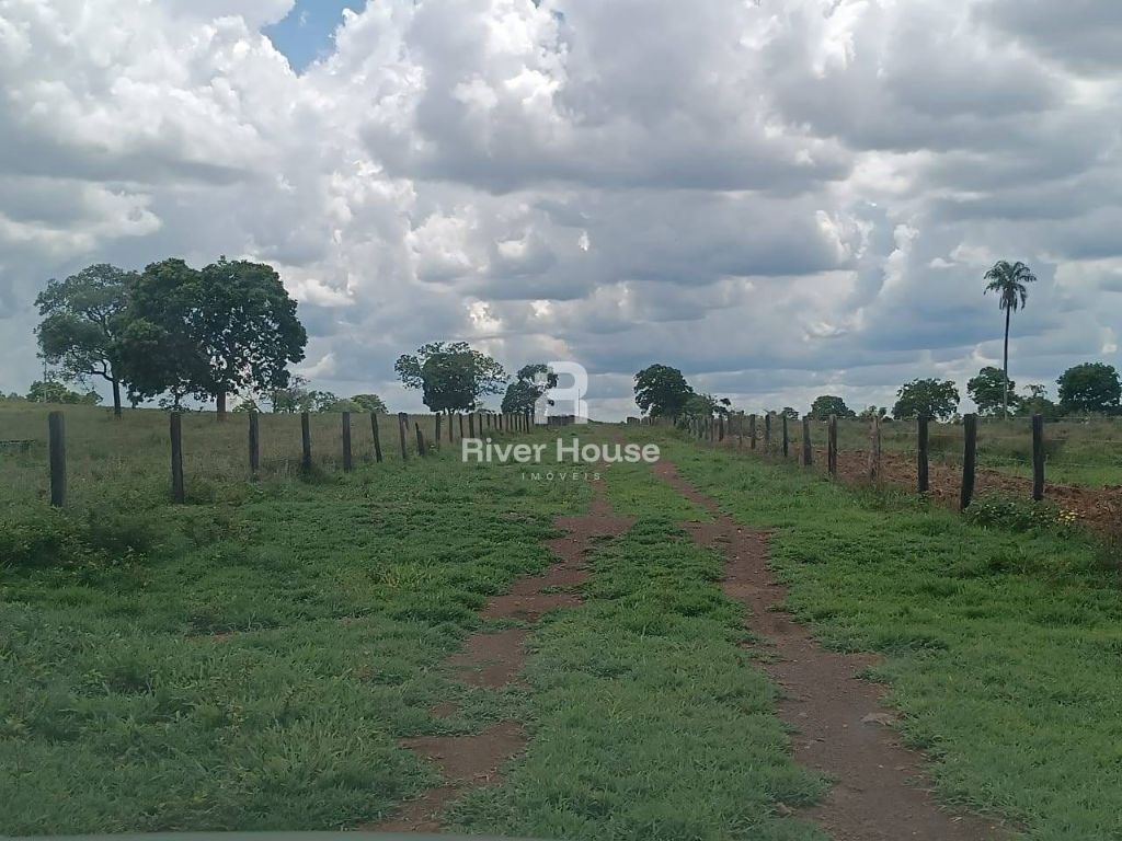 Fazenda a venda com 890 hectares dupla aptidão na região de 