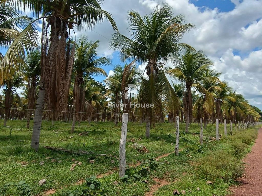 Fazenda a venda com 890 hectares dupla aptidão na região de 