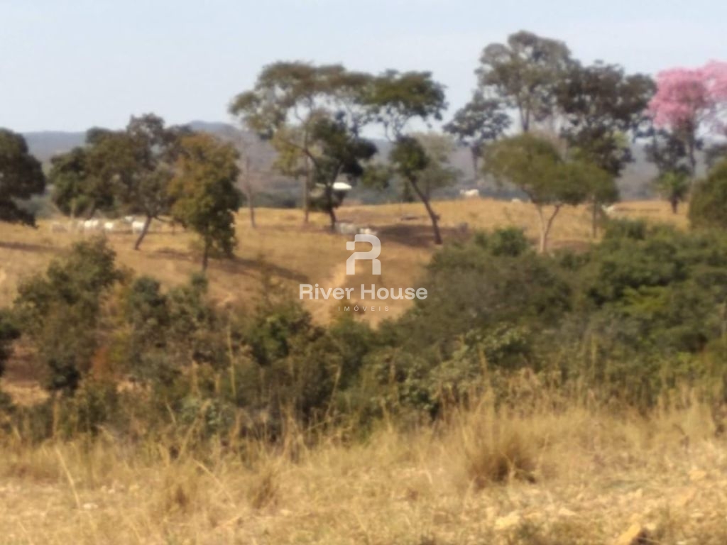 Fazenda à venda finalidade pecuaria formada, localizada na Região do Rio Manso , Chapada dos Guimarães - MT