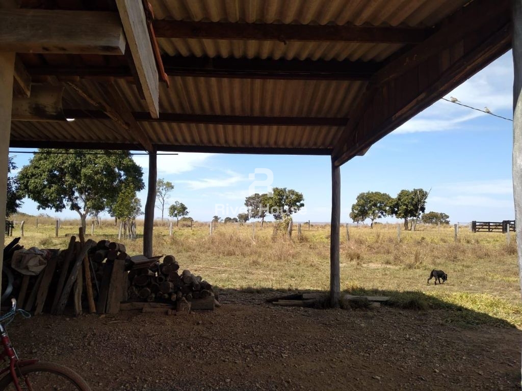 Fazenda à venda finalidade pecuaria formada, localizada na r