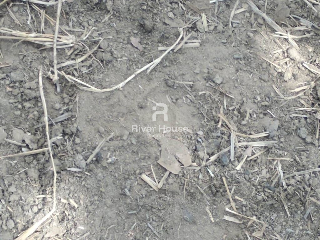 Fazenda à venda finalidade pecuaria formada, localizada na r