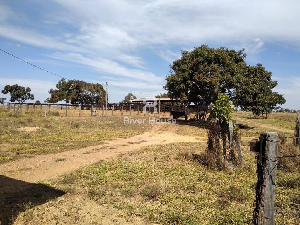 Fazenda à venda finalidade pecuaria formada, localizada na r