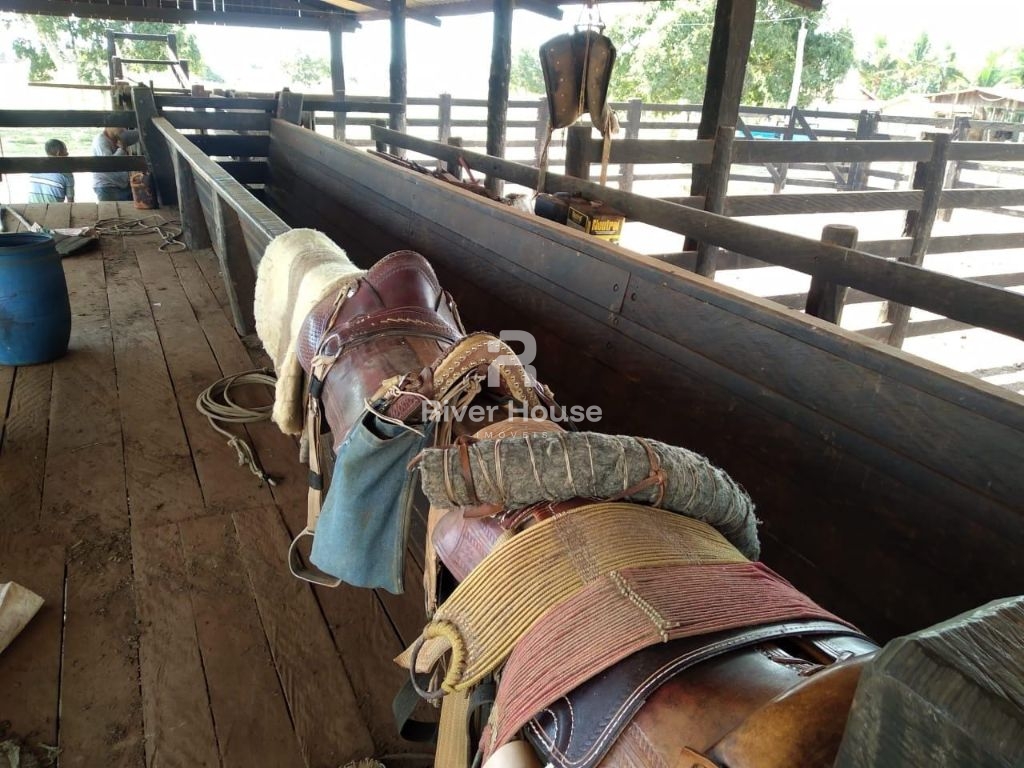 Fazenda à venda finalidade pecuaria formada, localizada na r