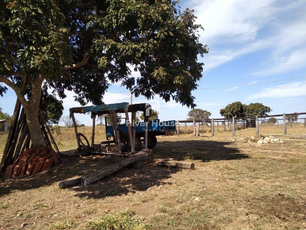 Fazenda à venda finalidade pecuaria formada, localizada na r
