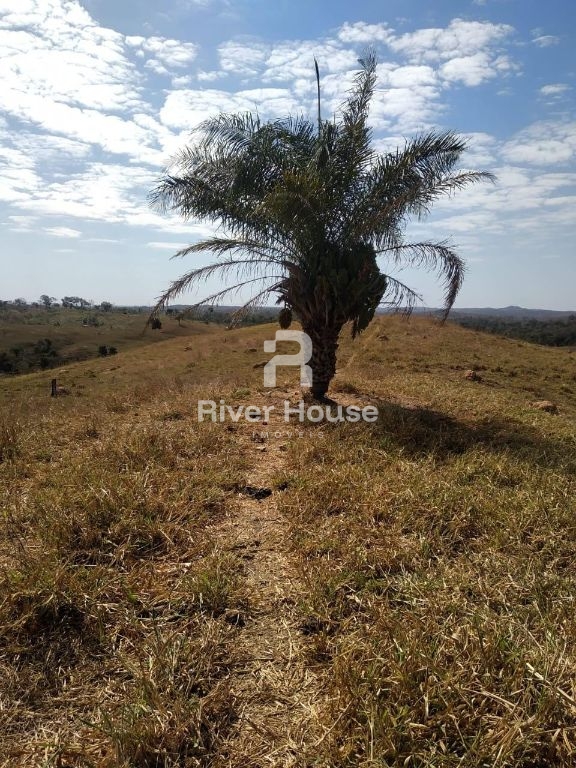 Fazenda à venda finalidade pecuaria formada, localizada na r