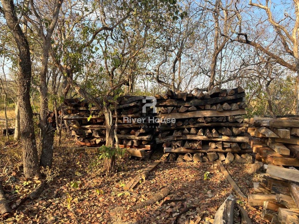 Fazenda à venda sendo 234 hectares para pecuaria , na região