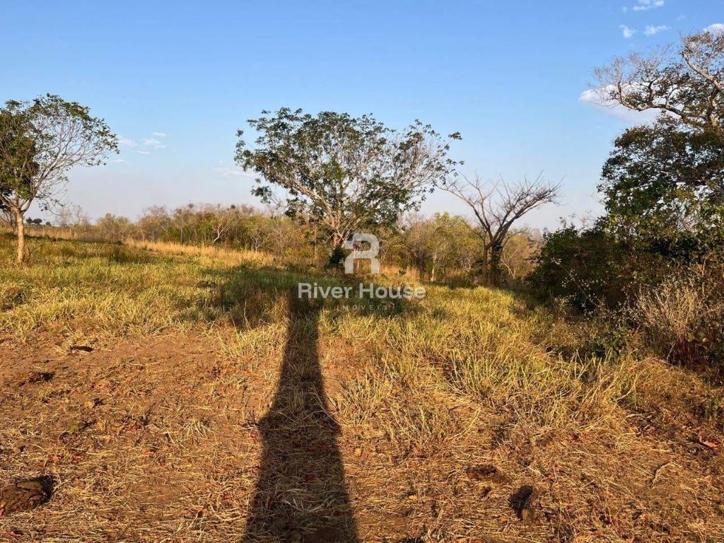 Fazenda à venda sendo 234 hectares para pecuaria , na região