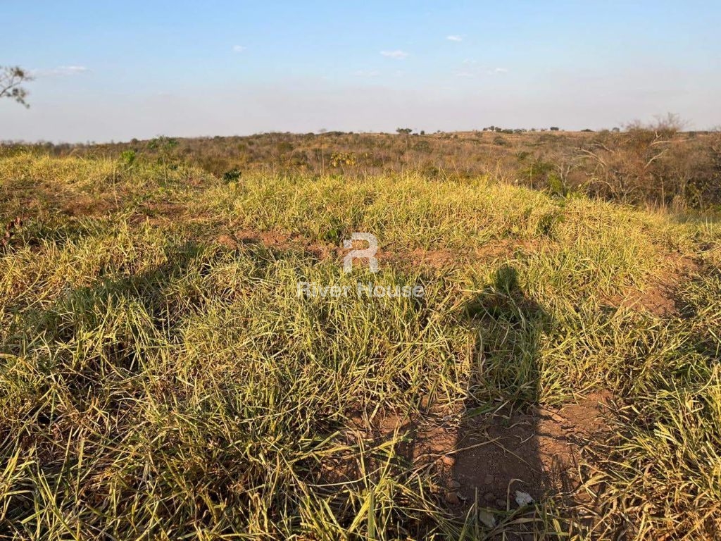 Fazenda à venda sendo 234 hectares para pecuaria , na região