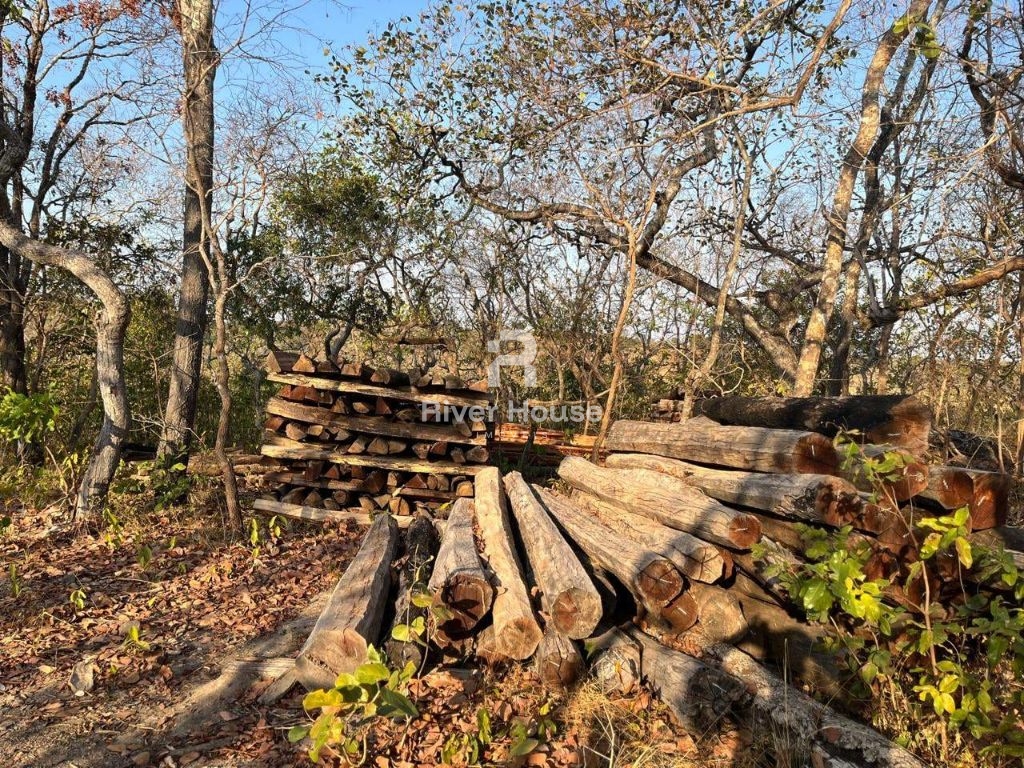 Fazenda à venda sendo 234 hectares para pecuaria , na região