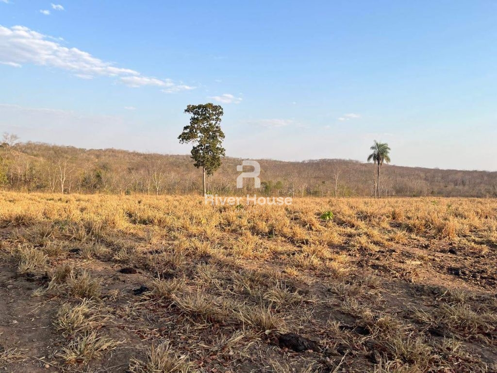 Fazenda à venda sendo 234 hectares para pecuaria , na região
