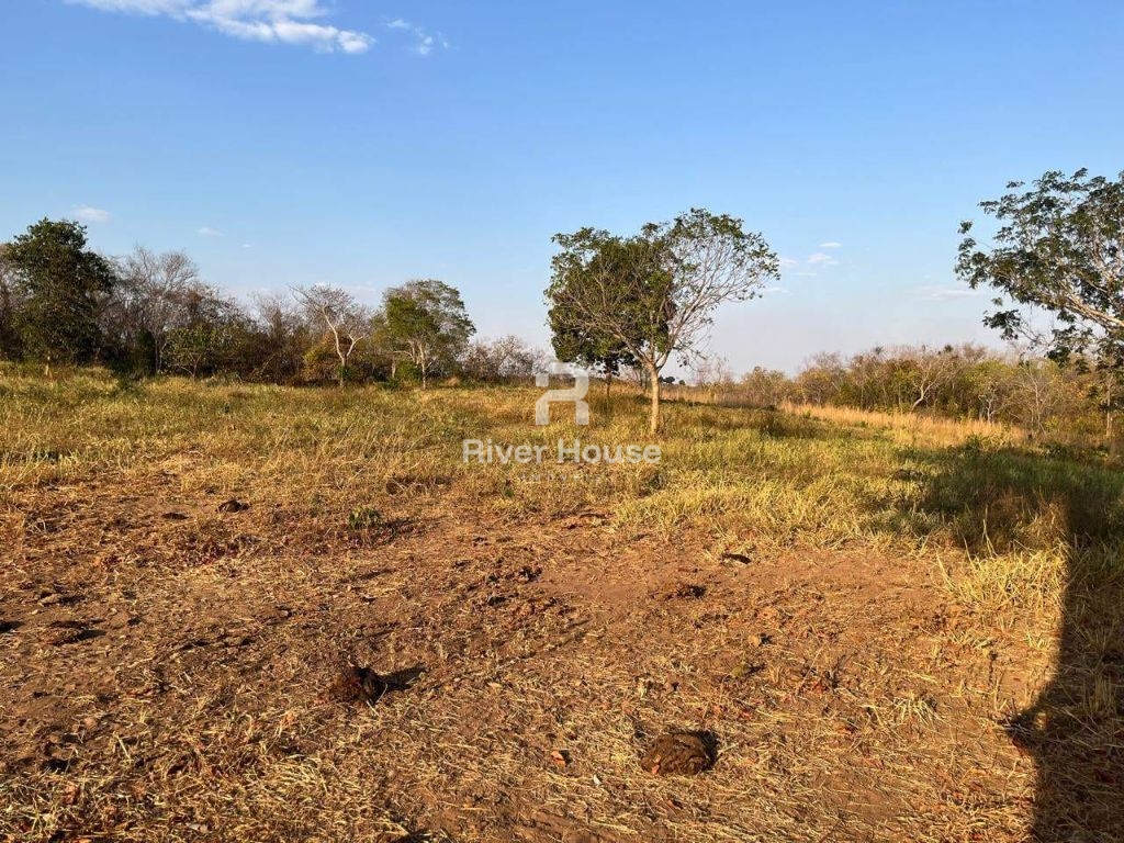 Fazenda à venda sendo 234 hectares para pecuaria , na região