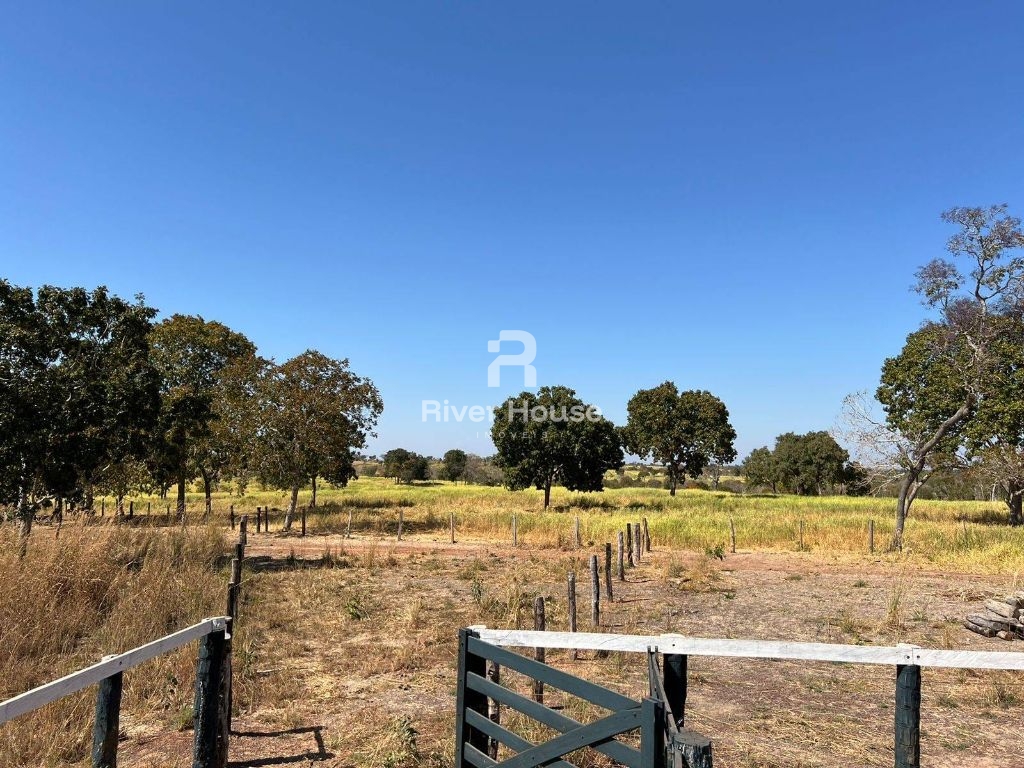 Fazenda 109 hectares à venda para pecuaria localizada a br 0
