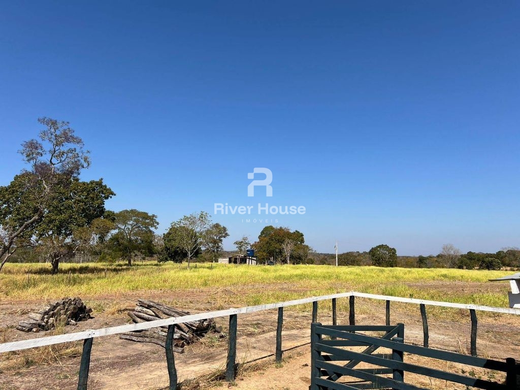 Fazenda 109 hectares à venda para pecuaria localizada a br 0