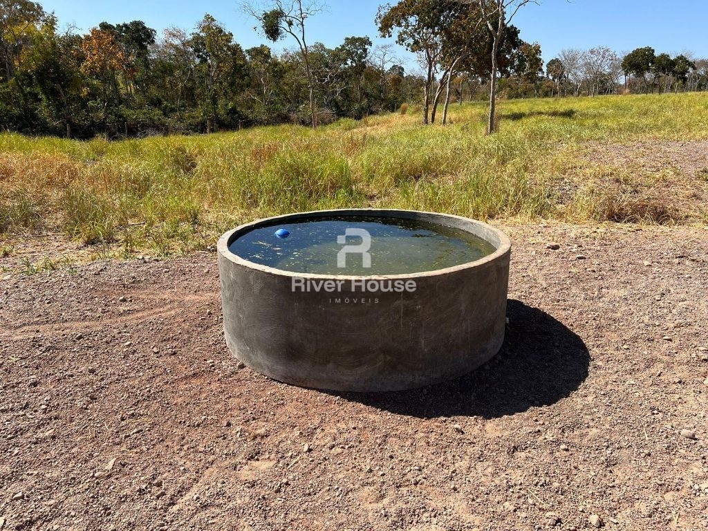 Fazenda 109 hectares à venda para pecuaria localizada a br 0