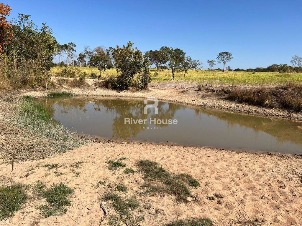 Fazenda 109 hectares à venda para pecuaria localizada a br 0