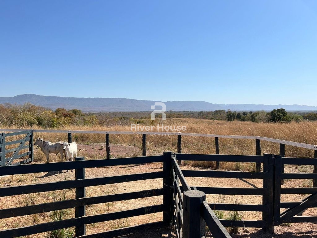 Fazenda 109 hectares à venda para pecuaria localizada a br 0