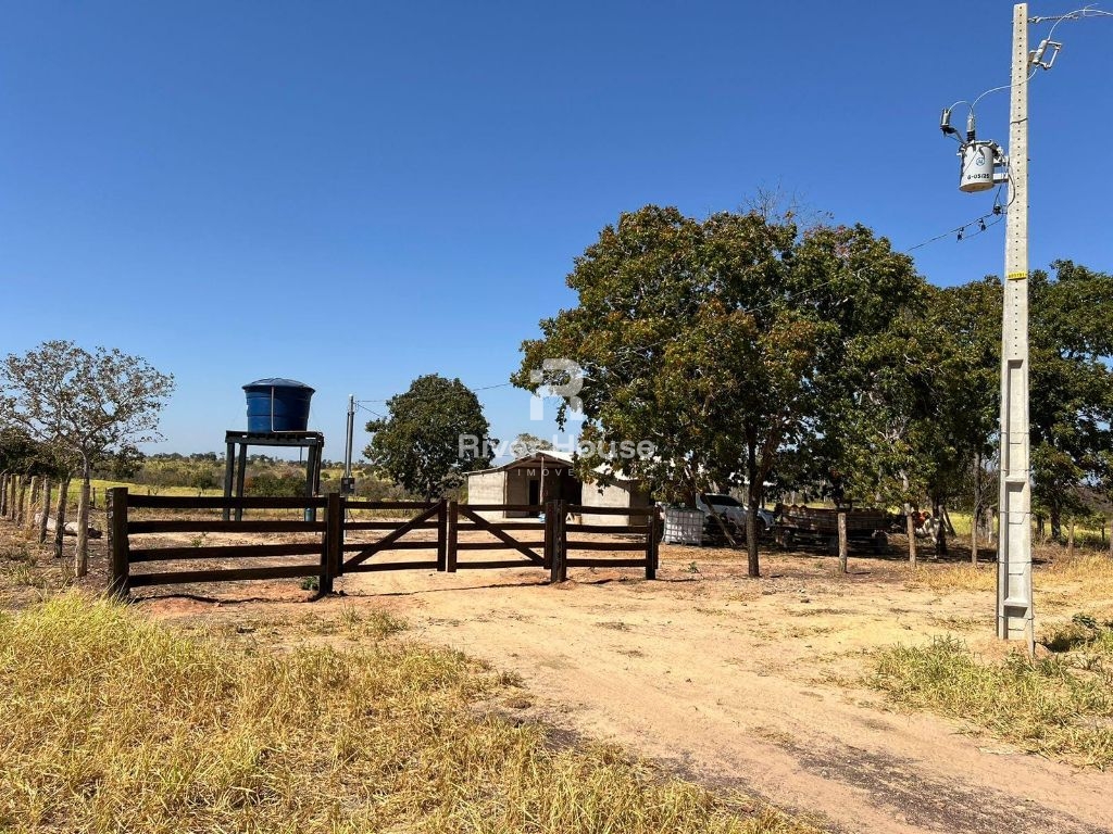 Fazenda 109 hectares à venda para pecuaria localizada a br 0