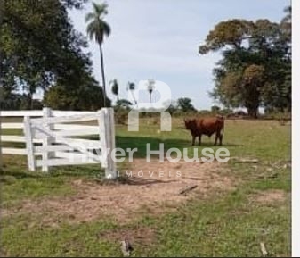Fazenda para pecuaria à venda, localizada em pirizal, nossa 
