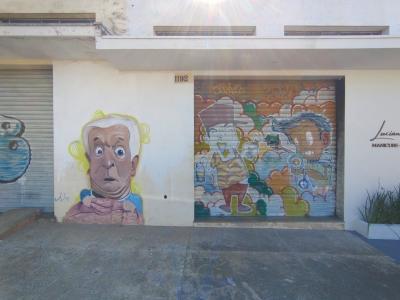 Imóvel ref. 1367 no bairro PQ SANTA FELÍCIA JARDIM