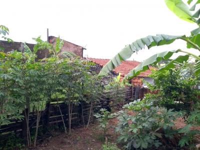 Foto 4 do imóvel