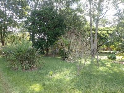 Foto 3 do imóvel