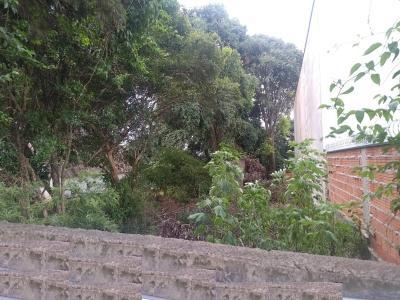 Foto 4 do imóvel