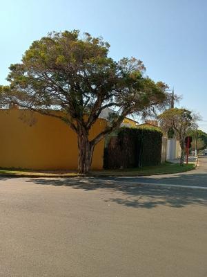 Foto 2 do imóvel