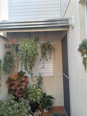 Foto 19 do imóvel