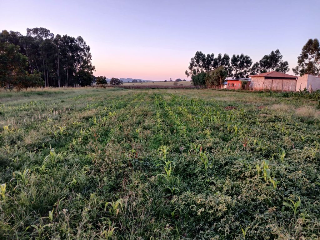 Imóvel ref. 17308 no bairro COND RESIDENCIAL ITAIPU
