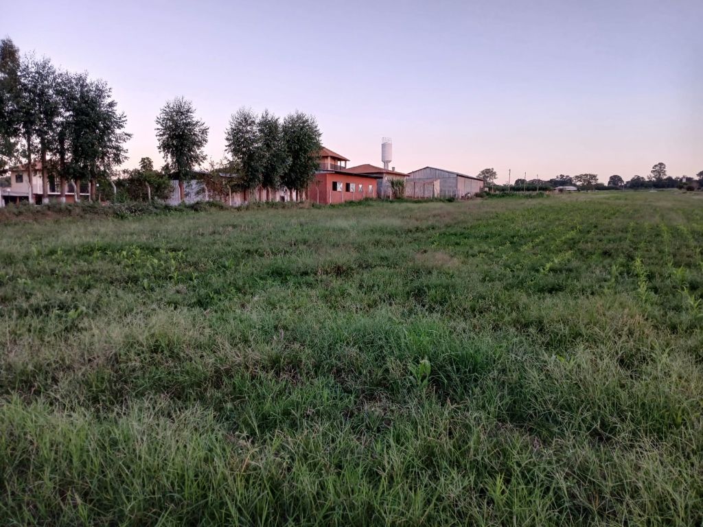 Foto 4 do imóvel