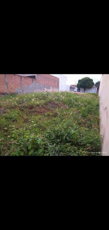 Foto 5 do imóvel