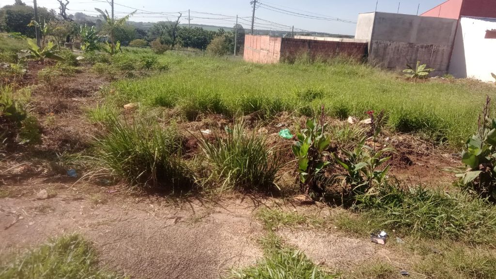 Terreno