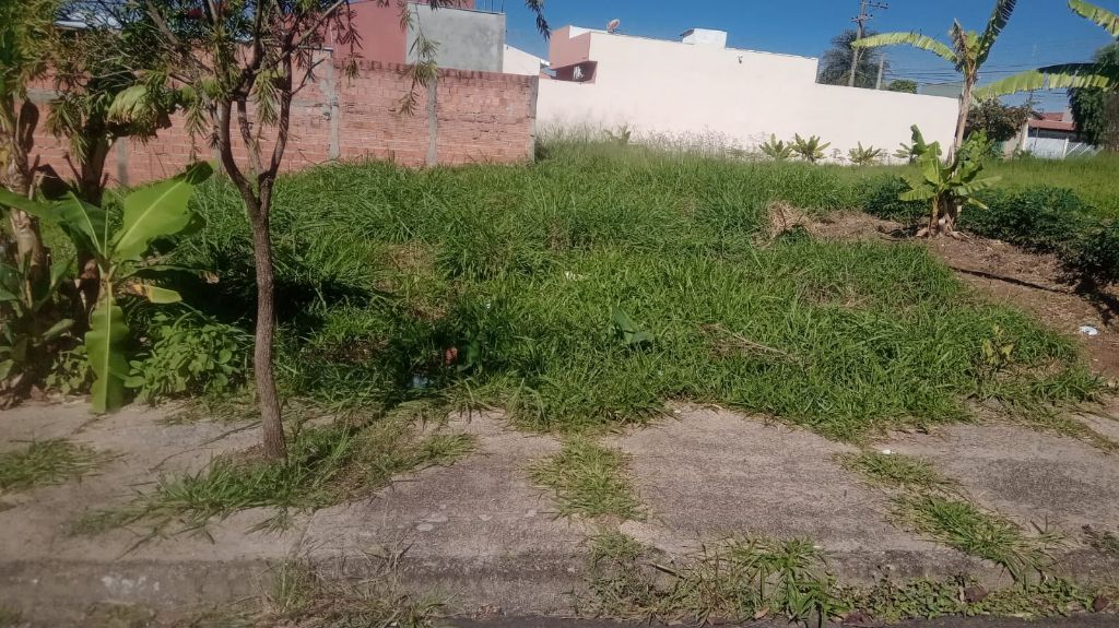 Terreno