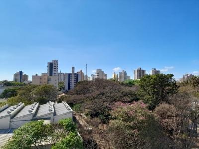 Foto 4 do imóvel