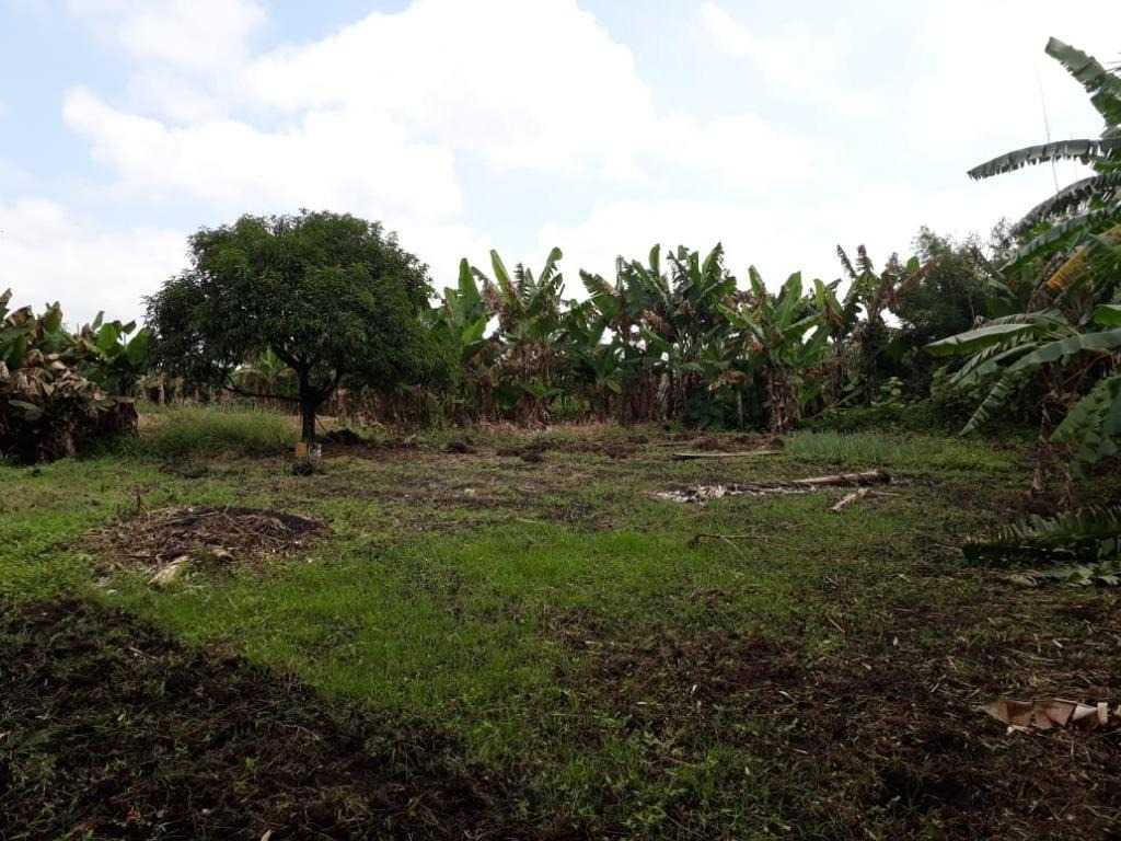 Área à venda, 4284 m² - São João - Jacareí/SP