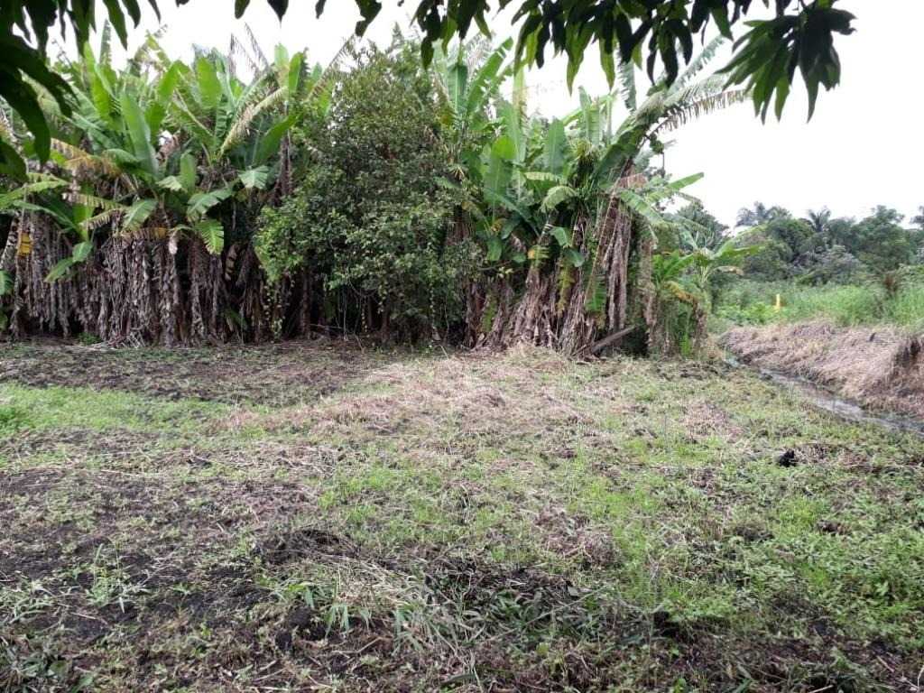 Área à venda, 4284 m² - São João - Jacareí/SP